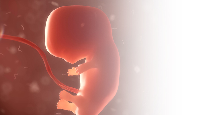 7week_Desktop_selected_750x400
